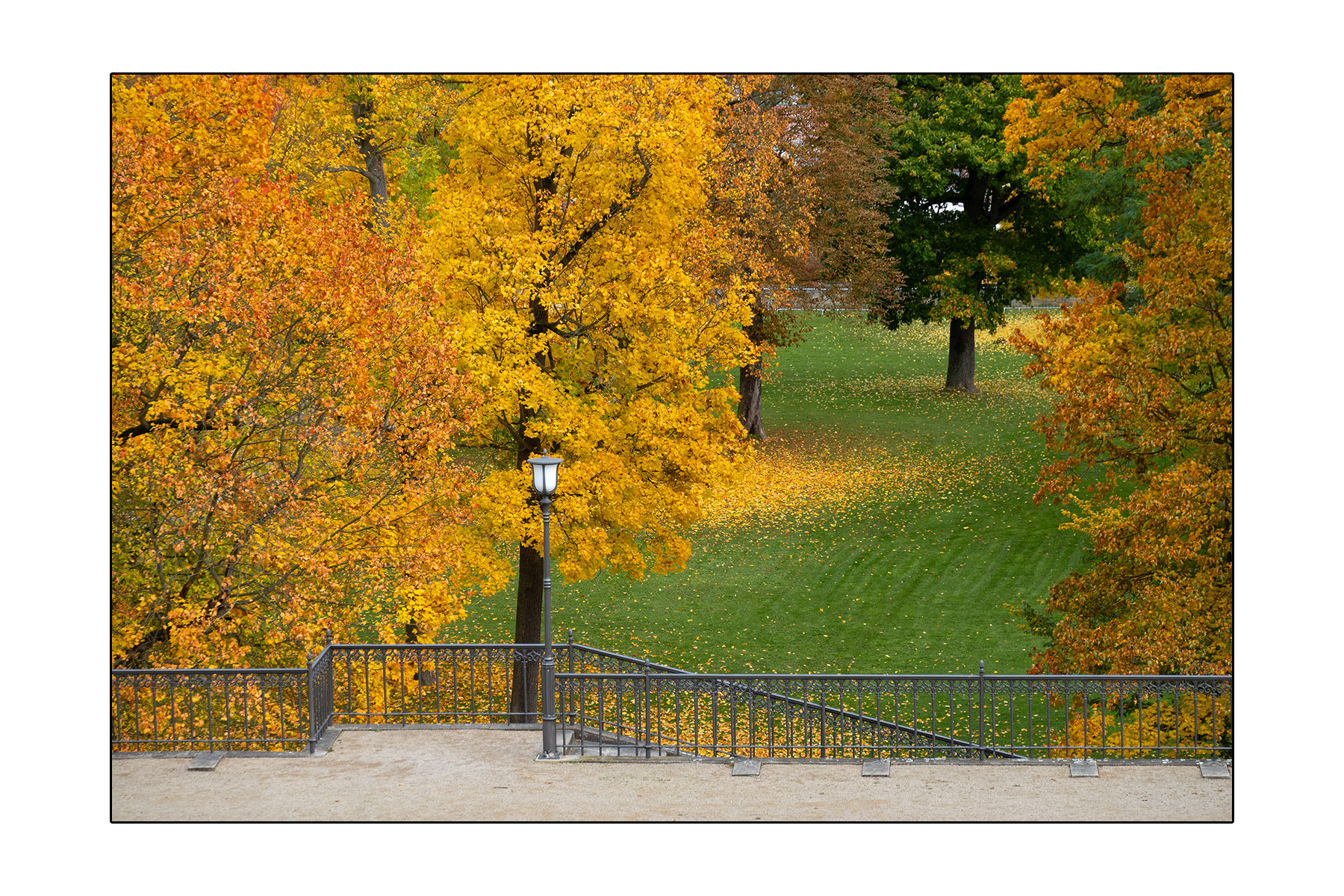 dsc09175-4.jpg